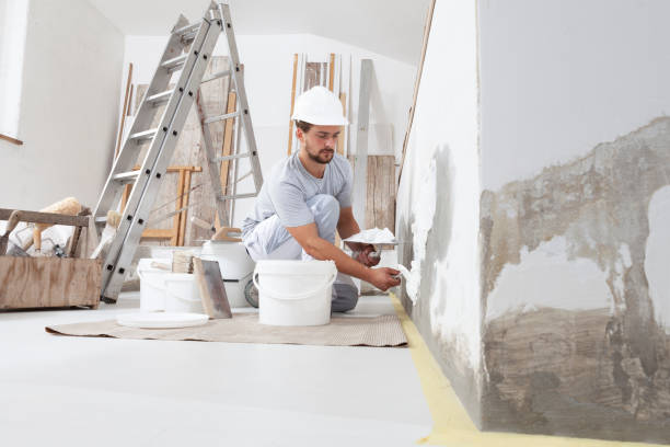 Best Mold Remediation for Healthcare Facilities  in Nicholson, MS