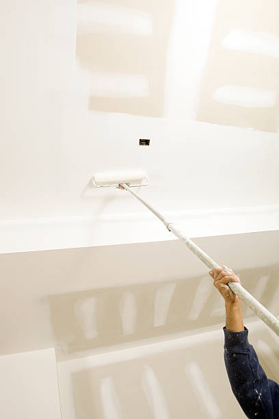 Professional Mold Removal in Nicholson, MS
