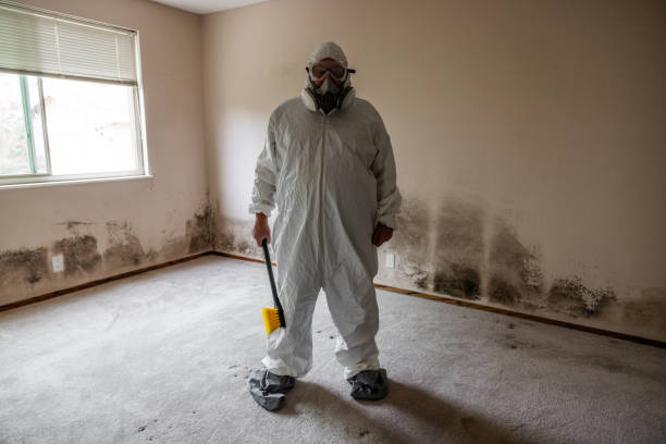 Best Mold Odor Removal Services  in Nicholson, MS
