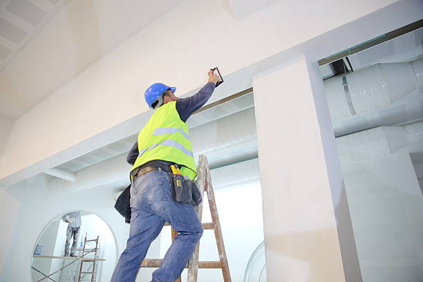 Best Industrial Mold Remediation  in Nicholson, MS