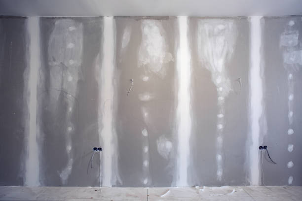 Best Basement Mold Removal  in Nicholson, MS